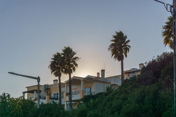 View at vacation mansion with palm trees during sunset in the small fishermen town of Salema,...