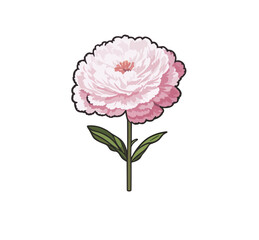 Vector of a pink peony flower on a white background