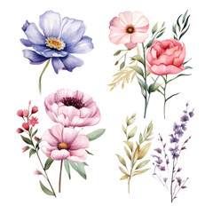 Vector of a vibrant watercolor painting of a bouquet of colorful flowers on a white background