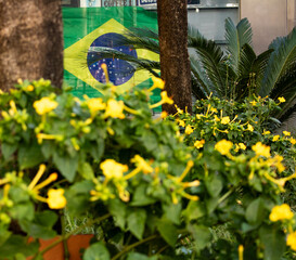 Flores e plantas verde e amarelas na rua