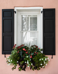 Open window with white trim beside black shutters and flower boxes