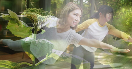 Obraz premium Composite of two happy asian women practicing yoga outdoors, and sunlight on plants
