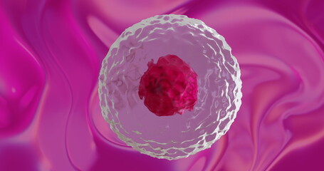 Image of micro of red and pink cells over pink background