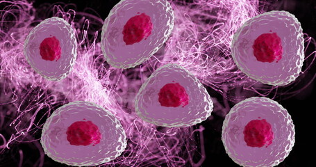 Image of micro of red and pink cells over pink light trials on black background