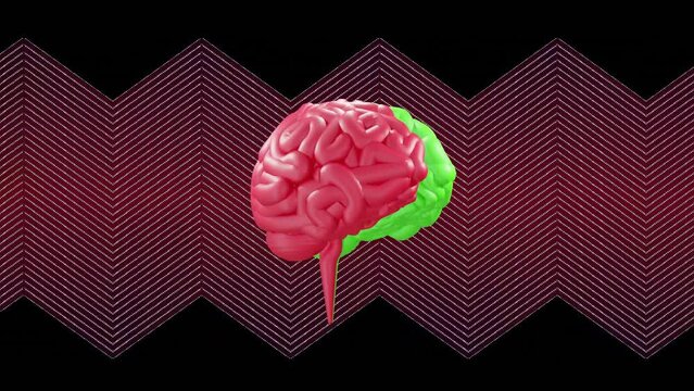 Animation of human brain spinning over zigzag pattern background