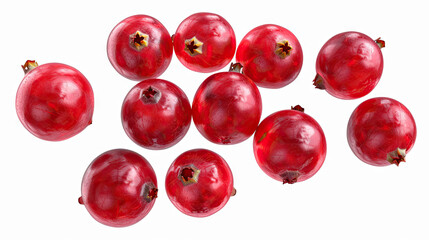 Red Currant PNG Cranberries (Vaccinium oxycoccus) Fruit