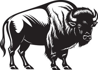 Black Bison A Minimalist Icon Bison Outline Bold and Sleek Design