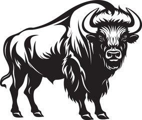Black Bison Fashion Bold and Unforgettable Style Bison Education Where Strength Meets Knowledge