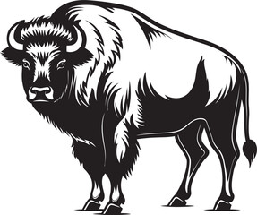 The American Icon Black Bison Unleash the Beast Black Bison Logo