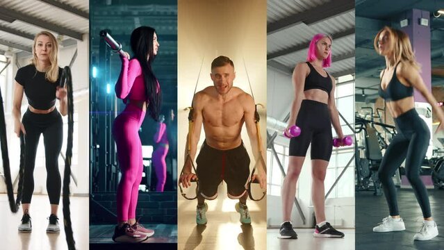 Collage of vertical videos showcasing 5 different athletes performing exercises with a rope, barbell, dumbbells, and executing stretches and squats. A demonstration of professionalism in training.