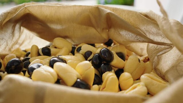 Top view of the Jamaican hand-harvested Ackee fruit utilized in half of the national dishes.