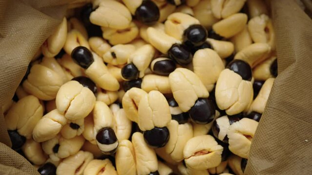 Top view of the Jamaican hand-picked fruit Ackee used for the national dishes.