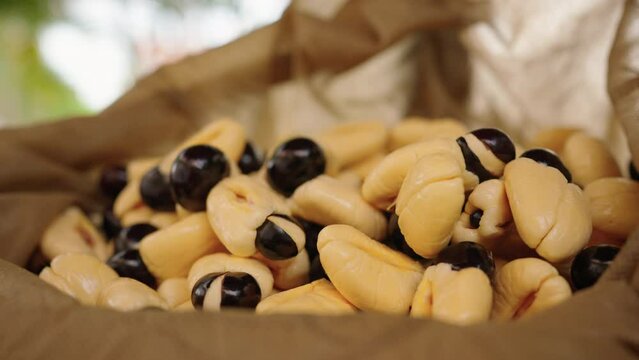 Overhead perspective of Jamaican hand-selected Ackee fruit, utilized in the national dishes.