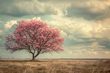 Foto op Plexiglas Spring nature scene with a pink blooming tree Symbolizing the beauty and renewal associated with easter © Lucija