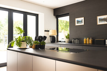 A modern kitchen interior showcases sleek design and natural light