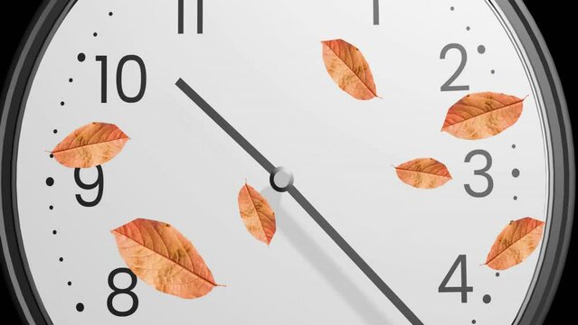 Animation of autumn leaves falling over clock