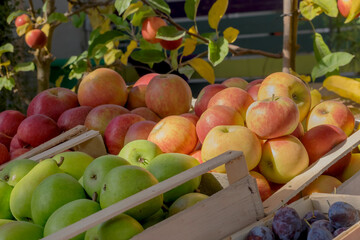 Verkauf von Äpfel, Birnen und Zwetschen