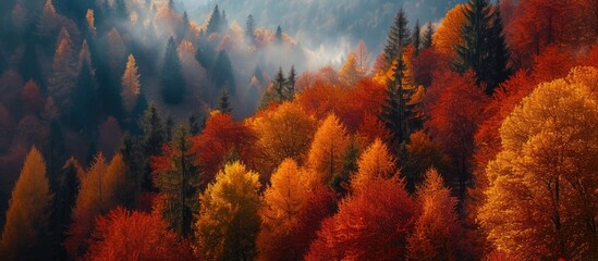 Fototapeta na wymiar A photo of a forest in the enchanting Alps, filled with vibrant and colorful autumn trees.