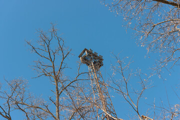 bare trees and pylon tower with flood lights over the tracks