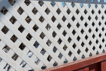 lattice garden or privacy fence outdoors