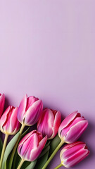 Tulip flowers on a pastel lavender background