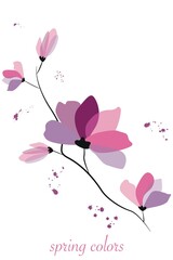 Flat illustration. Watercolor soft pink flowers and branches isolated on white background. Spring flowers. Perfect as an invitation, notebook or book cover, postcard or screen saver design...