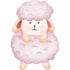 Baby Sheep’s so cute