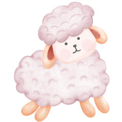 Baby Sheep’s so cute