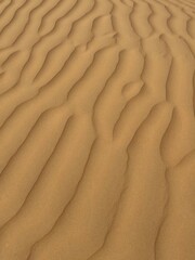 sand ripples in the desert