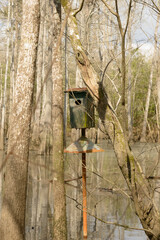 Weathered duck nest house in the swamps of south Louisiana. 2024.