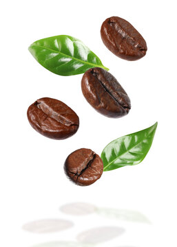 Roasted coffee beans and green leaves in air on white background