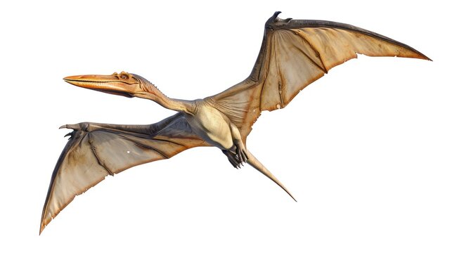 recommend clip art: Clipart vector illustration of a flying dinosaur, Pterodactyl.
