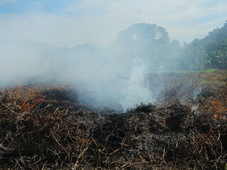 Burning land in agricultural fields that are still dry