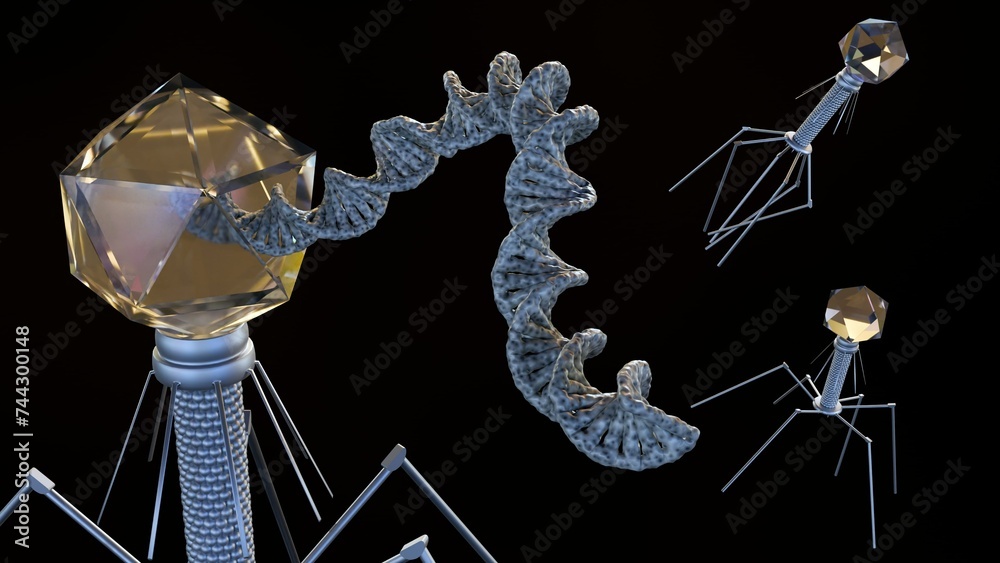 Wall mural 3d rendering of the nucleic acids of bacteriophages can be dna, double-stranded, and linear