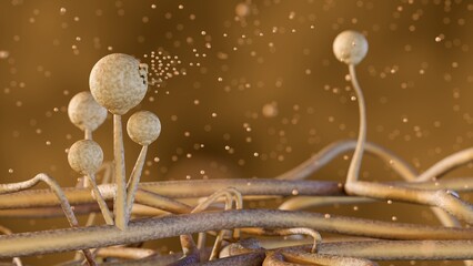 3d rendering Mucor, also known as black fungus, is a life-threatening fungal infection that can cause pneumonia in the lungs. It's caused by a group of molds called mucormycetes © Love Employee