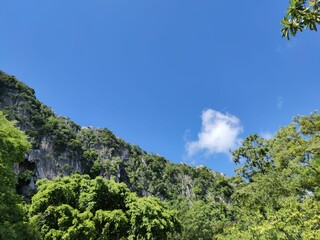 Forest and mountain views above the sky