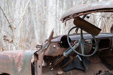 Rusted-out car body in the woods, with steering wheel column visible