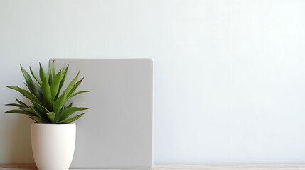 Green succulent plant in a white pot beside a blank grey canvas on a wooden surface against a white wall. Minimalist interior design concept.