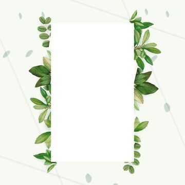 Floral tropical frame animation with text placeholder. Blooming botanical leaves foliage. Suitable for online greetings or wedding invitations on social media. Green screen background, 60fps. Sq123