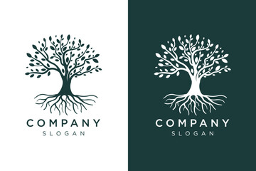 Obraz premium tree and lush roots logo