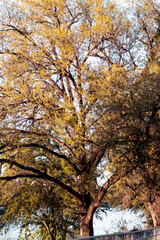 Lo que pasa desapercibido