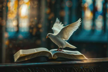 Photo sur Plexiglas Coloré Holy Spirit over a Bible