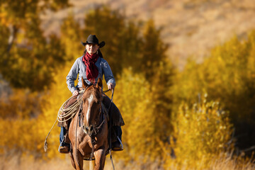 Montana Cowgirl - obrazy, fototapety, plakaty