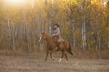 Wyoming Cowgirl