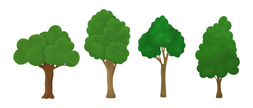 summer trees, set of vector illustrations of cute trees, different shapes of trees in green colors with noise shadow. Isolated on white background