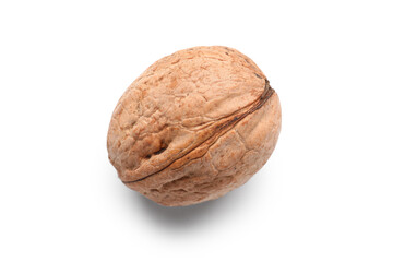 Whole walnut on white background