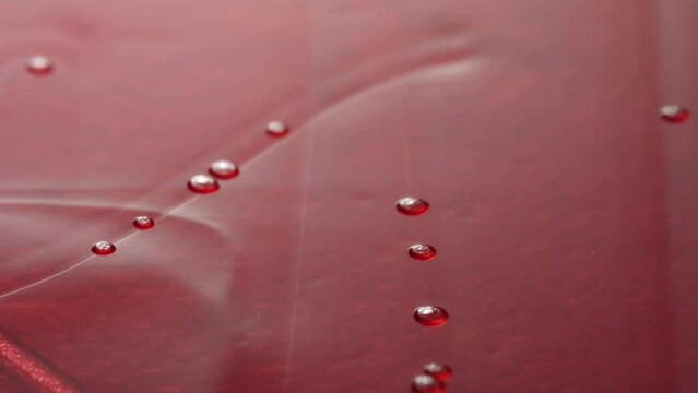 time lapse video of Pseudomonas stutzeri colonies growing on MacConkey agar for 60 hours