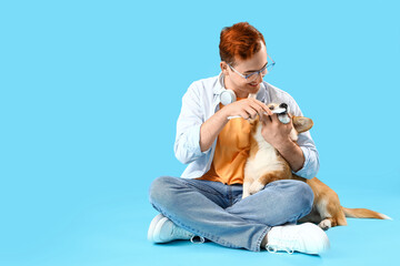 Male owner brushing teeth of corgi dog on blue background