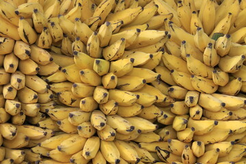 Cacho de Banana