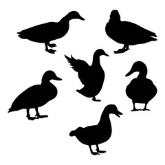 set of duck birds silhouettes